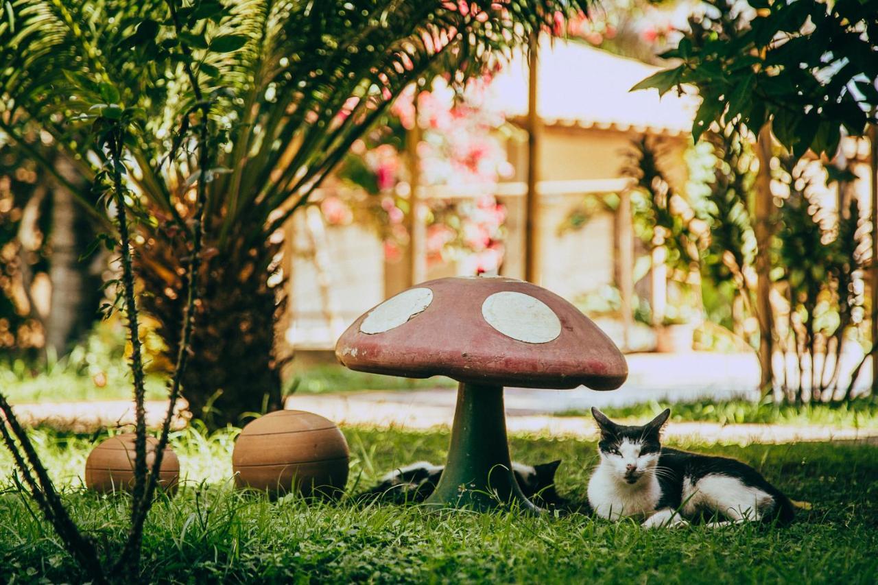 Pousada Boa Vista Barreirinhas Buitenkant foto