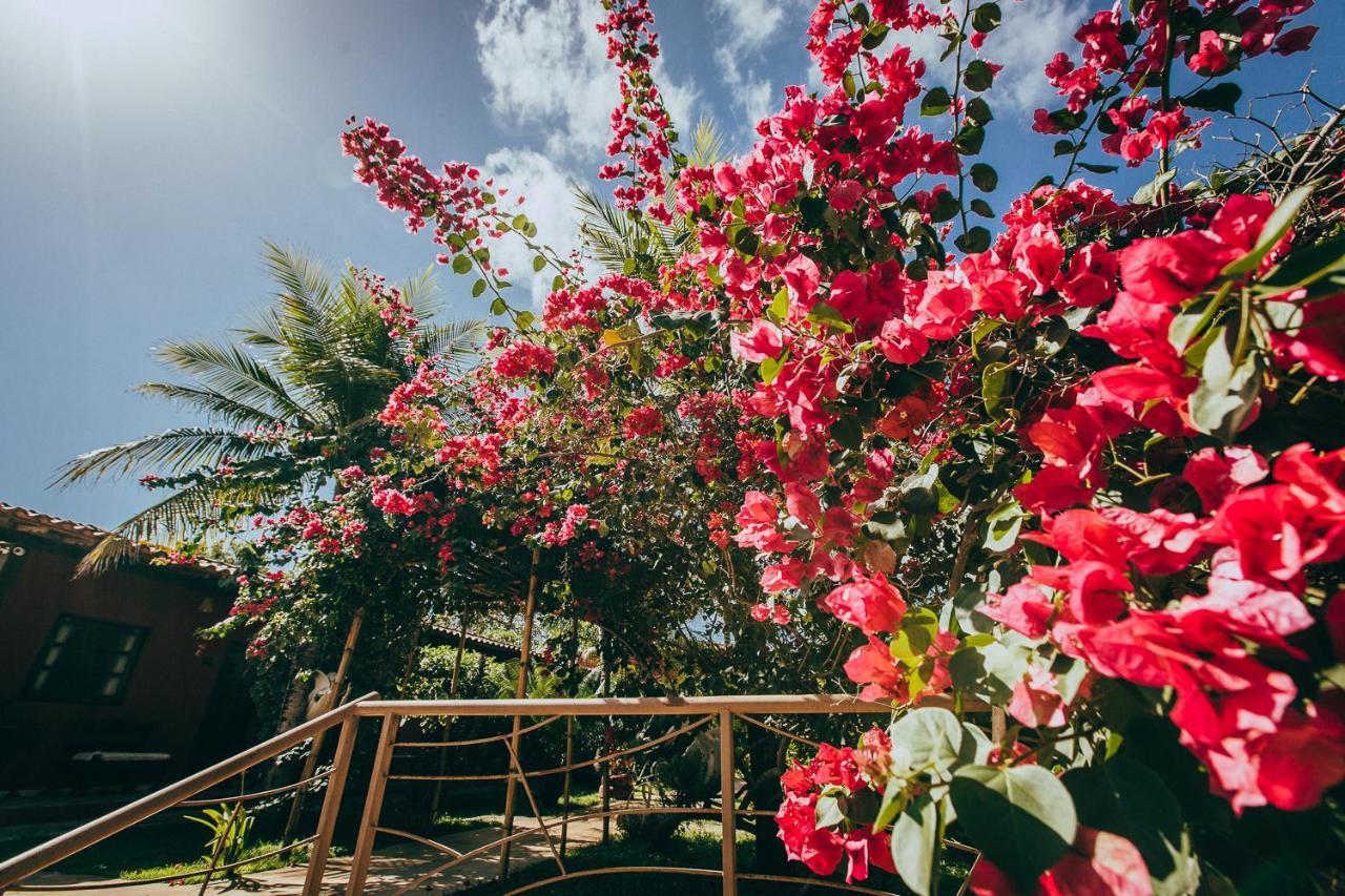Pousada Boa Vista Barreirinhas Buitenkant foto